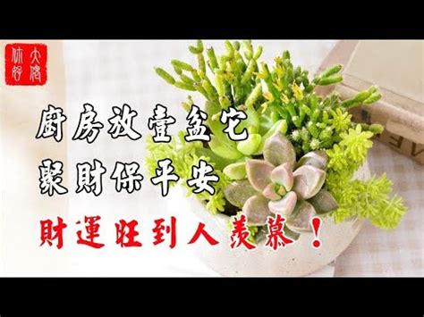 聚財植物